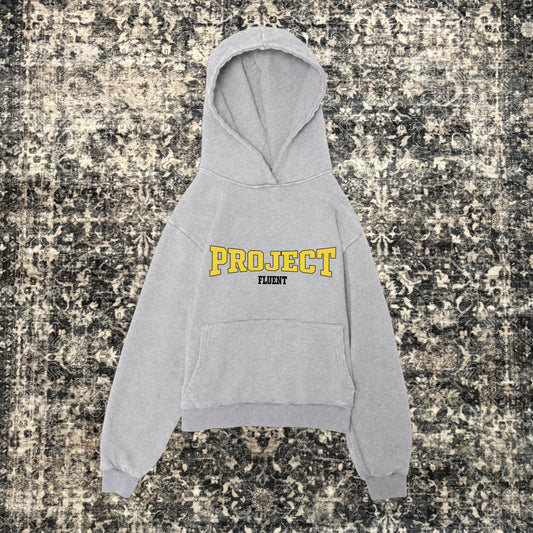 College Hoodie Grey